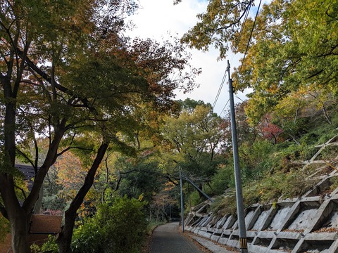保久良神社2