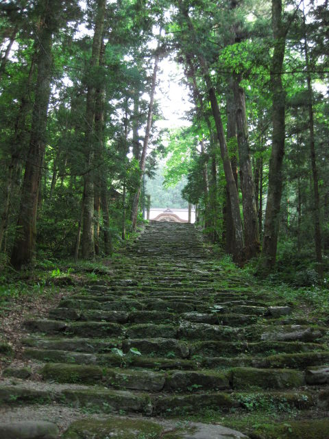 画像 273