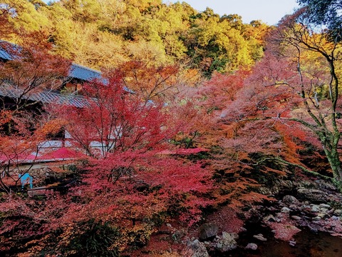 26.帰路5