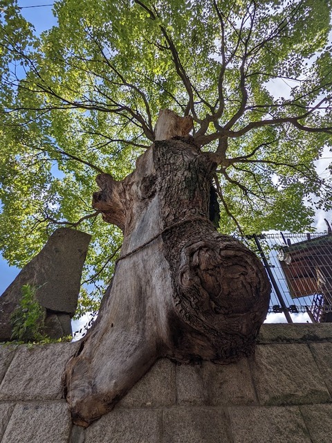 五宮神社3