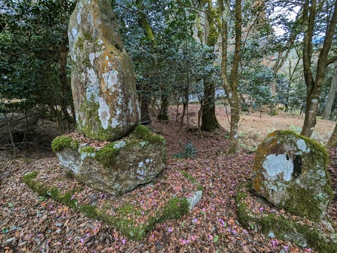 21.苔むした石4
