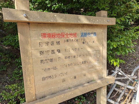 満願寺の森