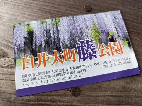 01.白井大町藤公園5