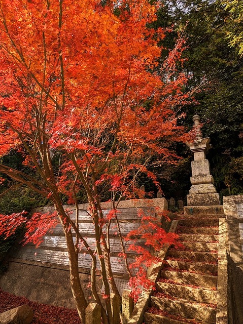 56.大師像の後ろ