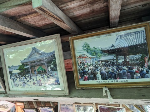 額3