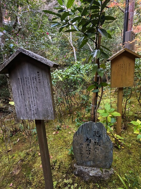 20.福田喜助