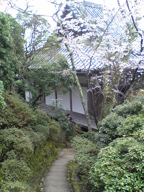 Image207