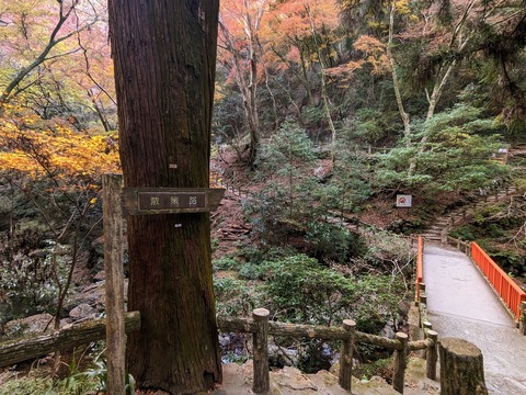 11.散策路分岐
