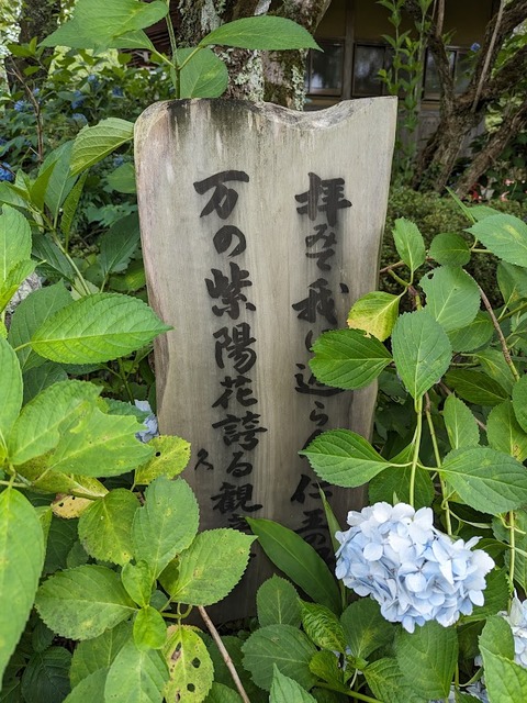 参道の札