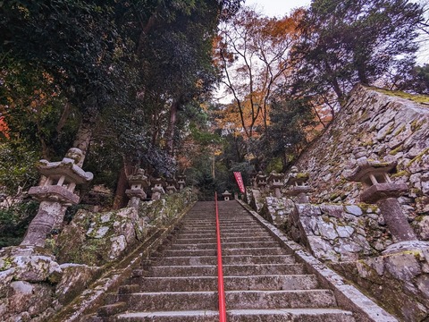 11.石段