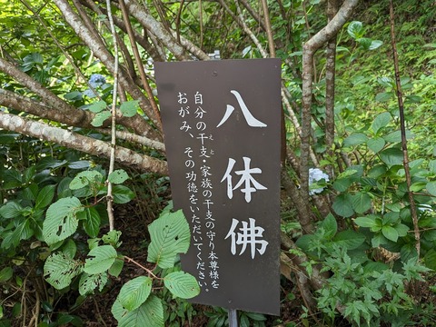 八体沸