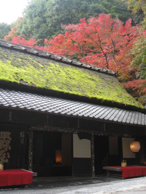 画像 245