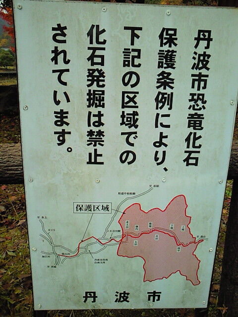 SBCA0002
