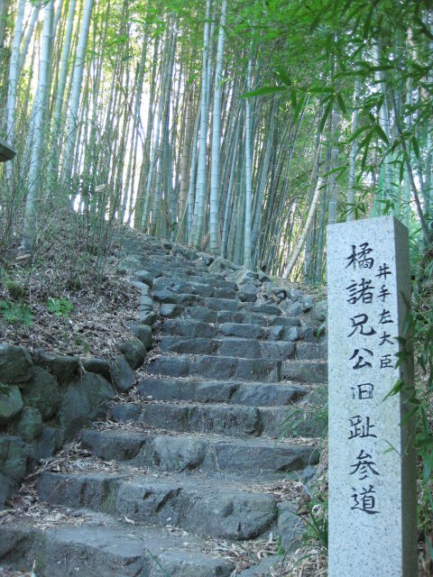 旅 113