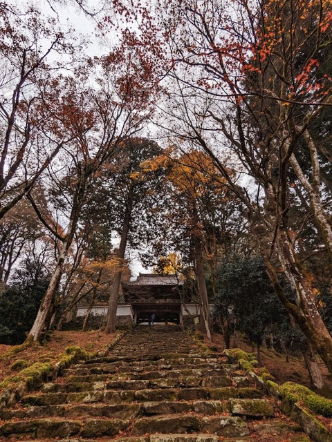 11.山門へ