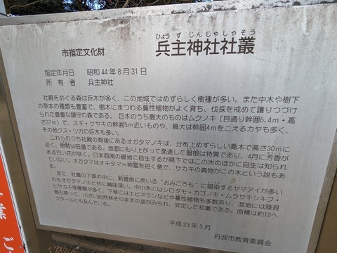 10.兵主神社社叢