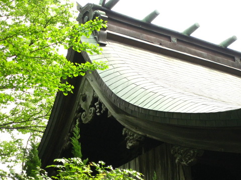 旅 150