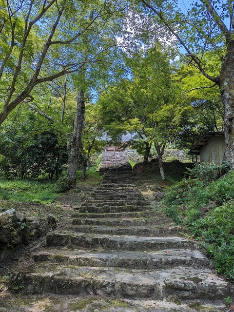 参道4