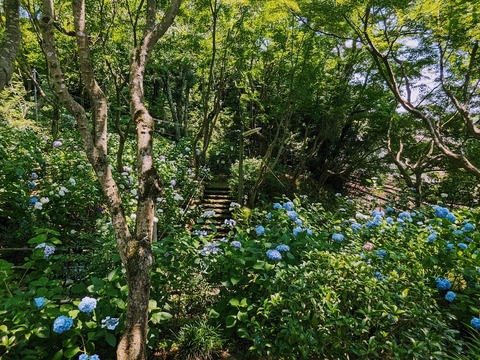 05.本堂前2