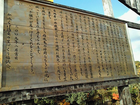 SBCA0011