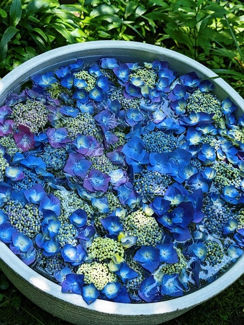花手水2