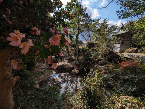 02.山茶花と小さな祠