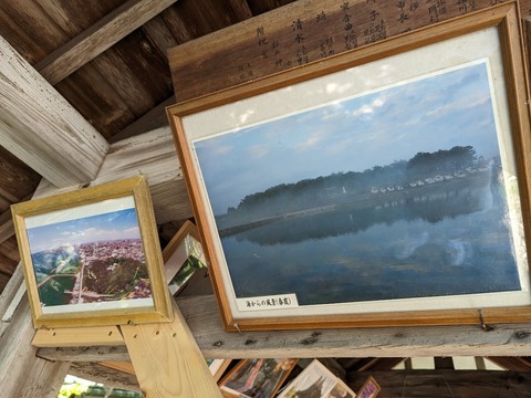 額2