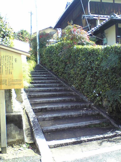Image204
