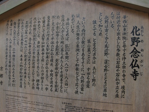 画像 221