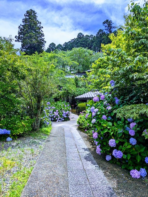 入山ゲートへ