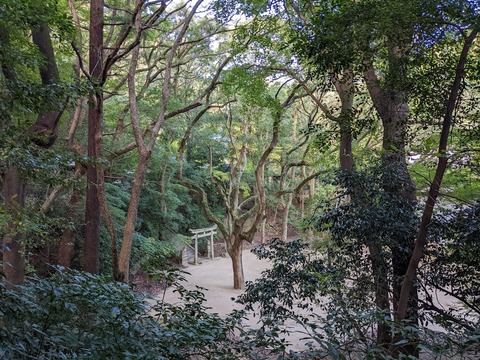 徳光院