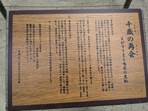 えびすと黒松