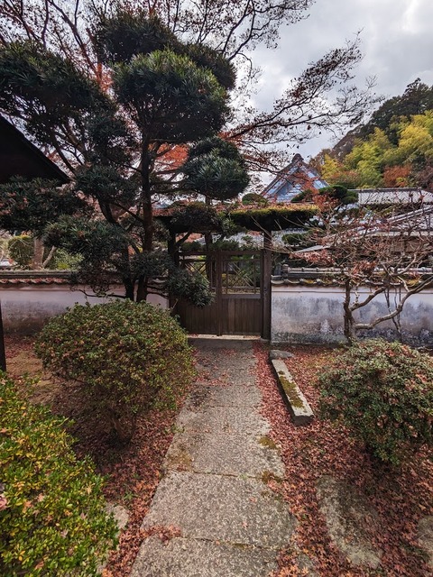 11.境内3