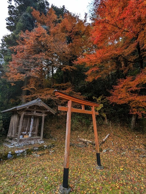 06.赤鳥居と神社