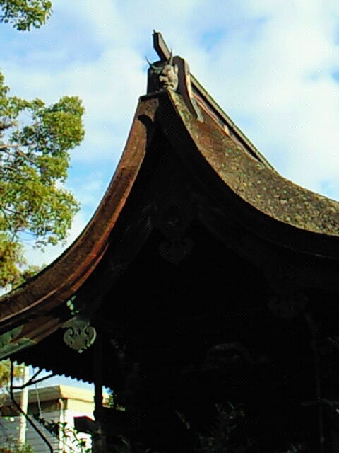 SBCA0166