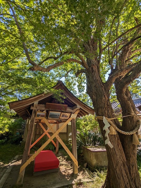 左手の建物