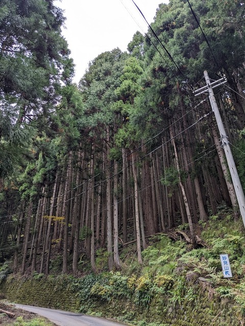 名草神社1
