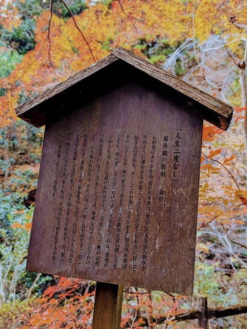 10.人生二度なし