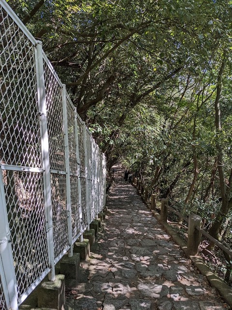 フェンスのある遊歩道