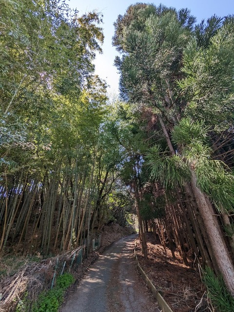 高源寺へ
