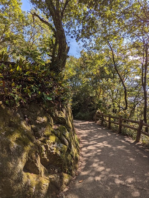 遊歩道おんたき茶屋の先