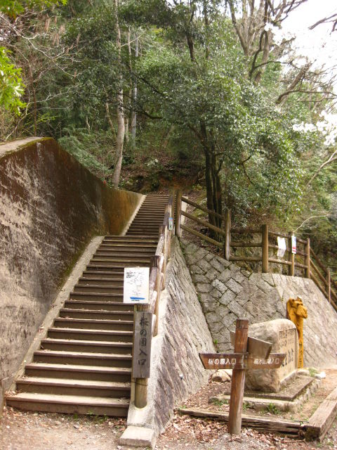 画像 008