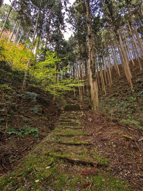 09.石段参道
