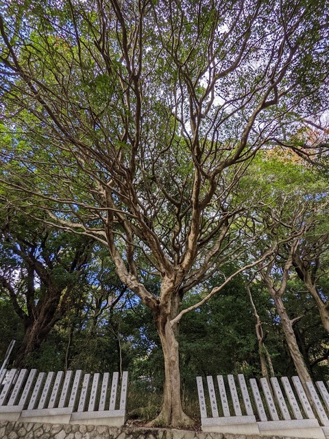 保久良神社5