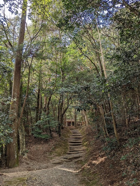境内西側の道