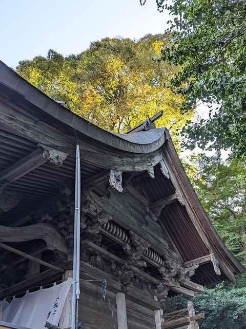20.本殿4