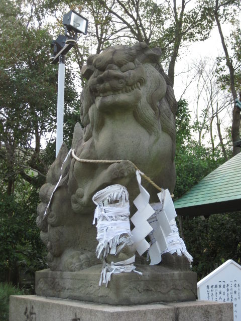 画像 021