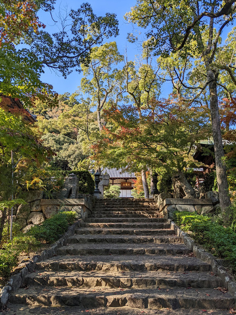 徳光院石段