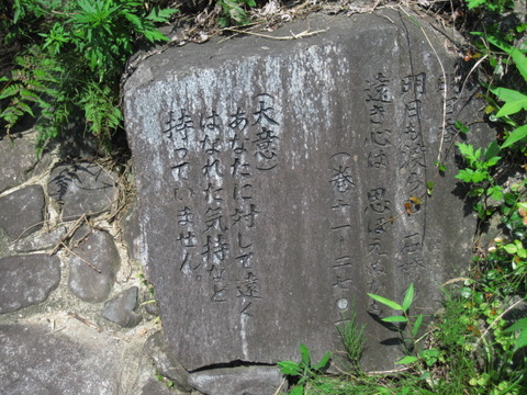 旅 180