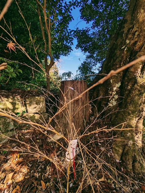 11.住吉神社3